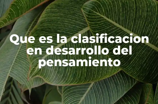 Que es la Clasificacion en Desarrollo Del Pensamiento