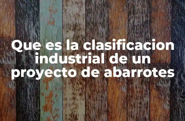 Que es la Clasificacion Industrial de un Proyecto de Abarrotes