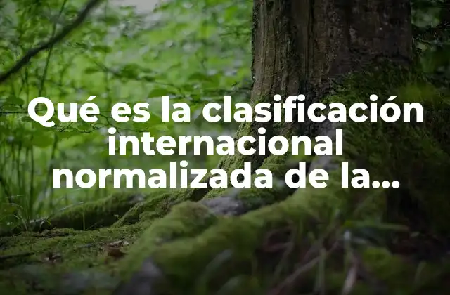 Qué es la Clasificación Internacional Normalizada de la Educación