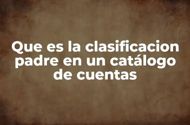 Que es la Clasificacion Padre en un Catálogo de Cuentas