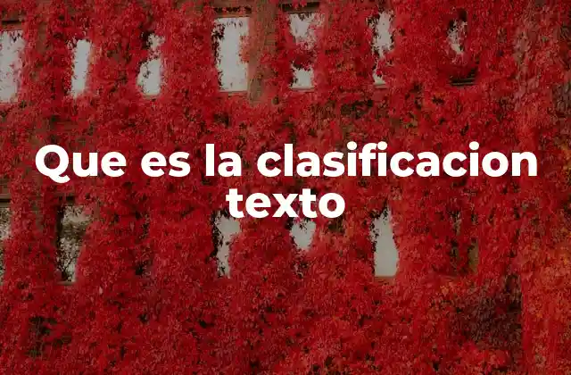 La importancia de organizar el lenguaje en categorías