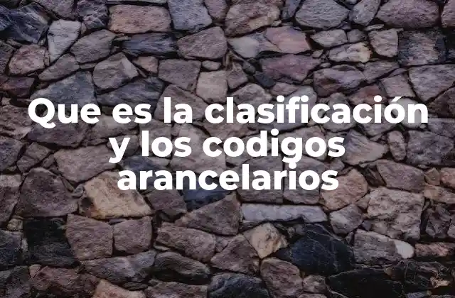 Que es la Clasificación y los Codigos Arancelarios