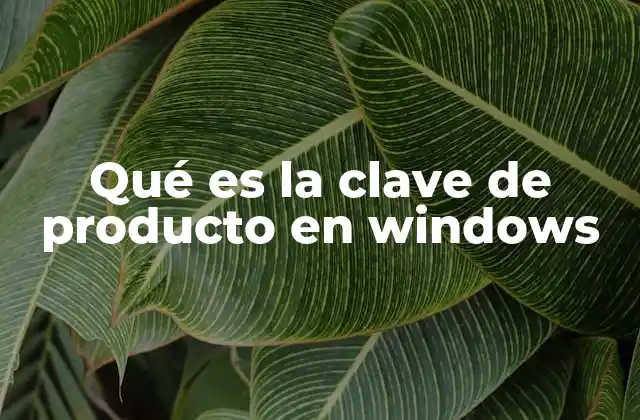 Qué es la Clave de Producto en Windows