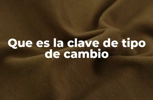 El papel del Banco Central en la gestión del tipo de cambio