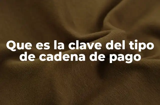 Que es la Clave Del Tipo de Cadena de Pago