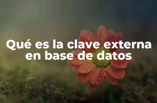 Qué es la Clave Externa en Base de Datos