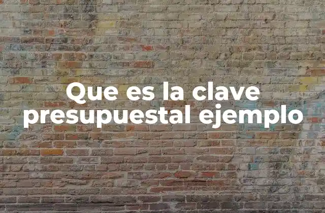 Que es la Clave Presupuestal Ejemplo 2 La importancia de la organización en el gasto público