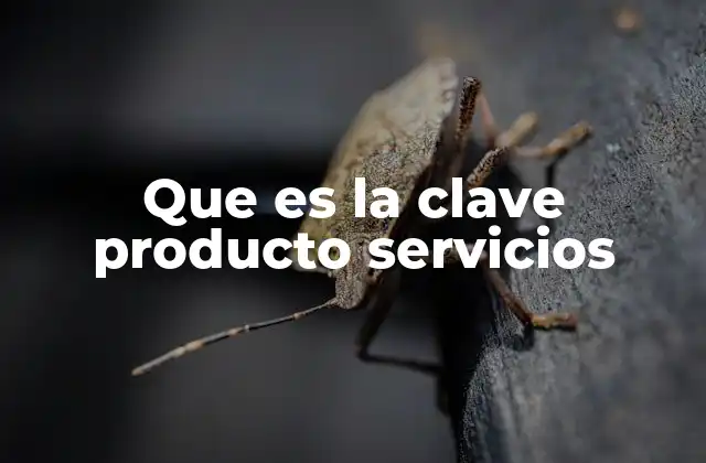 Que es la Clave Producto Servicios 2 La base de la competitividad empresarial