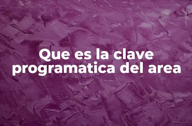 Que es la Clave Programatica Del Area