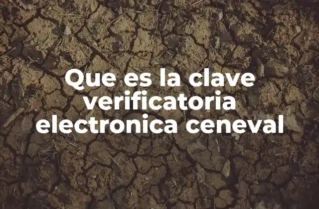 Que es la Clave Verificatoria Electronica Ceneval