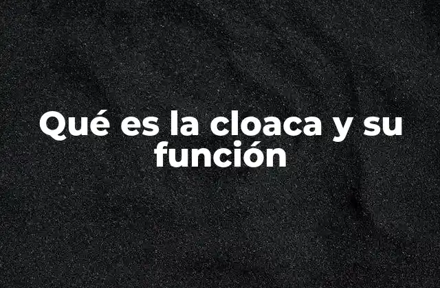 Qué es la Cloaca y Su Función