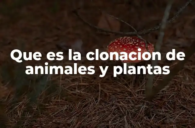 Que es la Clonacion de Animales y Plantas