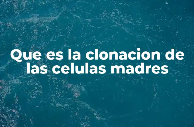 Que es la Clonacion de las Celulas Madres 2 La ciencia detrás de la generación de células madre idénticas