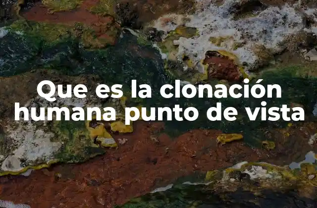 Que es la Clonación Humana Punto de Vista