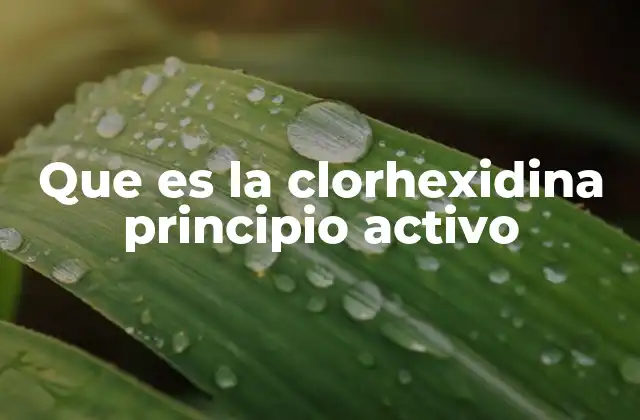 Que es la Clorhexidina Principio Activo