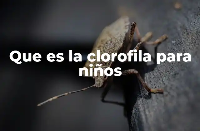 Que es la Clorofila para Niños