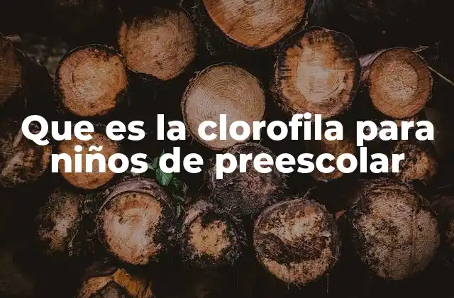 Que es la Clorofila para Niños de Preescolar 2 Cómo las plantas usan la clorofila para crecer