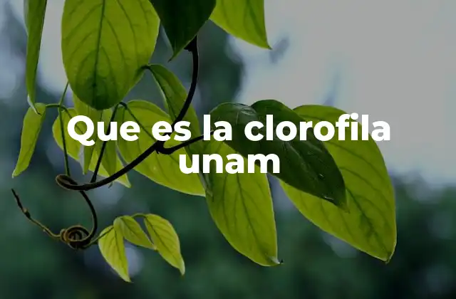 Que es la Clorofila Unam