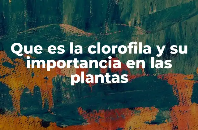 Que es la Clorofila y Su Importancia en las Plantas