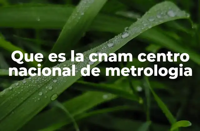 Que es la Cnam Centro Nacional de Metrologia