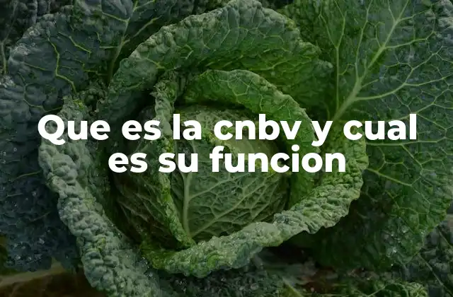 Que es la Cnbv y Cual es Su Funcion
