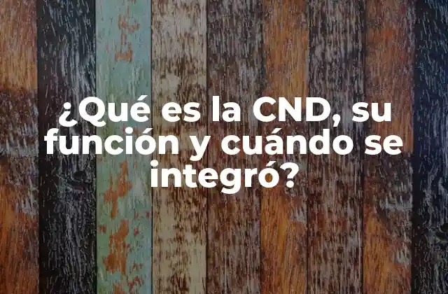 ¿qué es la Cnd, Su Función y Cuándo Se Integró?