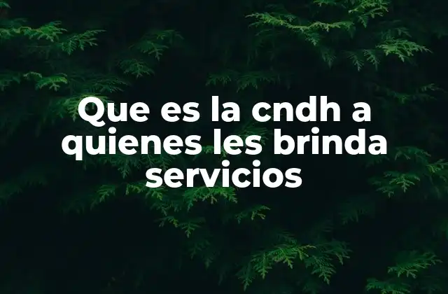 Que es la Cndh a Quienes Les Brinda Servicios 2 La importancia de un mecanismo de defensa ciudadana