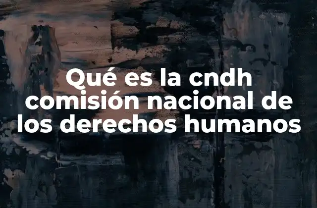 Qué es la Cndh Comisión Nacional de los Derechos Humanos
