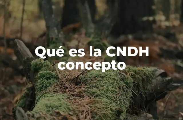 Qué es la Cndh Concepto 2 La importancia de la CNDH en la protección de los derechos humanos