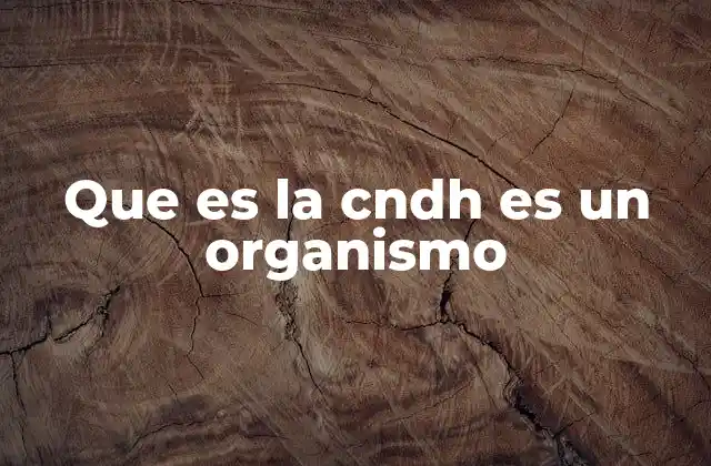 Que es la Cndh es un Organismo
