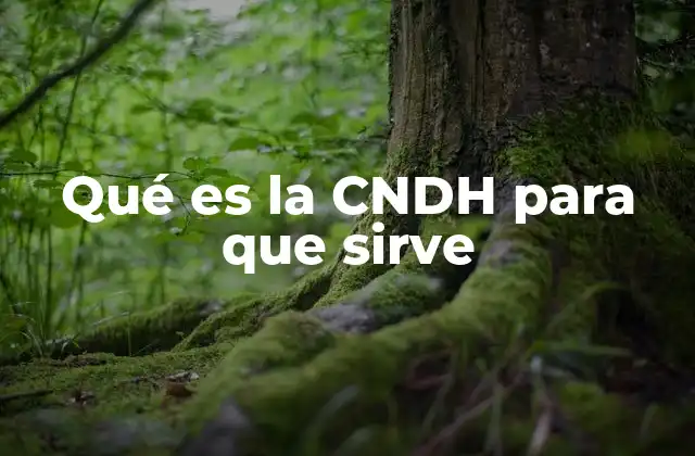 Qué es la Cndh para que Sirve