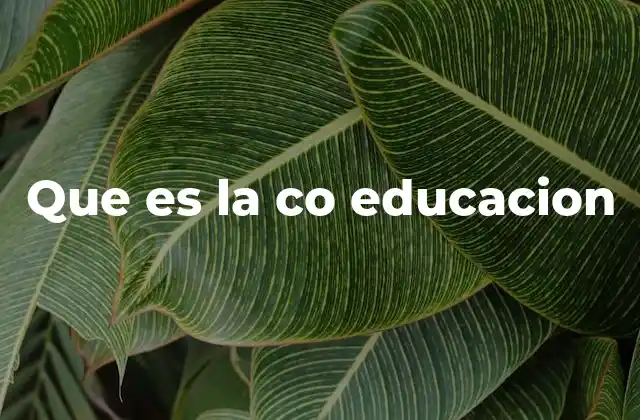 Que es la Co Educacion