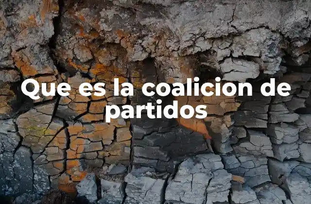 La importancia de las alianzas políticas en sistemas democráticos