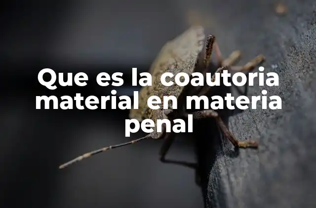 Que es la Coautoria Material en Materia Penal 2 La importancia de distinguir roles en la coautoria material