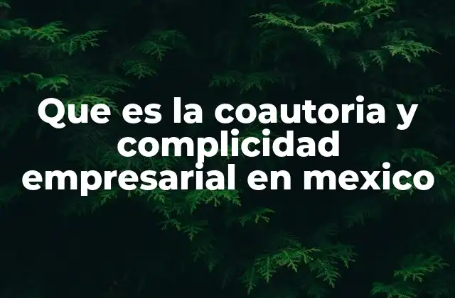 Que es la Coautoria y Complicidad Empresarial en Mexico
