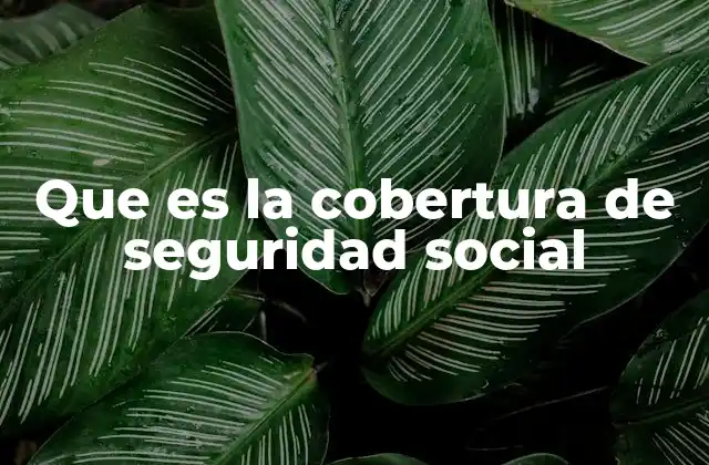 Que es la Cobertura de Seguridad Social