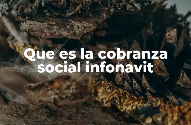 Que es la Cobranza Social Infonavit