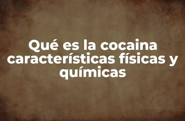 Qué es la Cocaina Características Físicas y Químicas