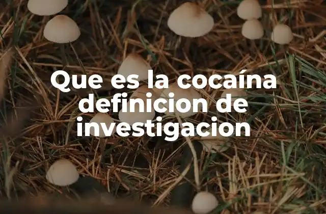 Que es la Cocaína Definicion de Investigacion