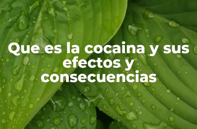 El impacto de la cocaína en la salud mental y física