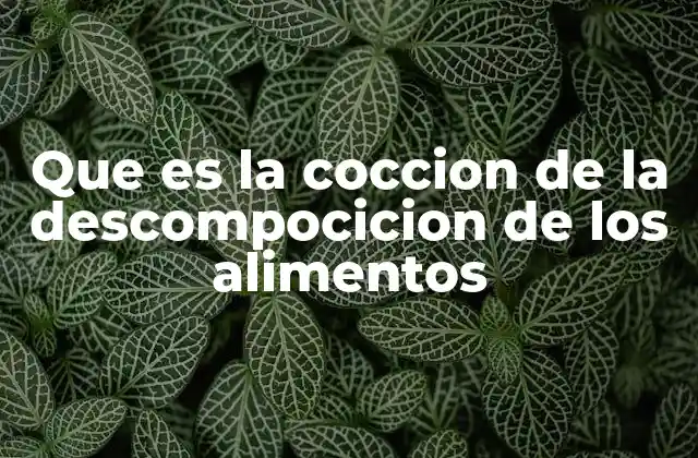Que es la Coccion de la Descompocicion de los Alimentos