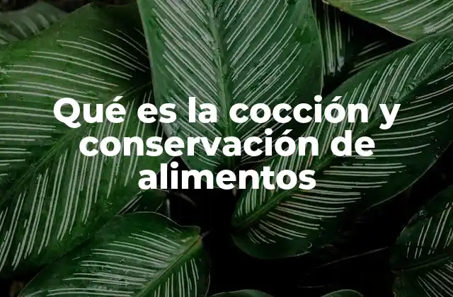 Qué es la Cocción y Conservación de Alimentos