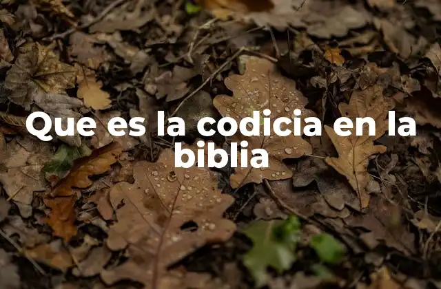 Que es la Codicia en la Biblia 2 La codicia como una tentación espiritual