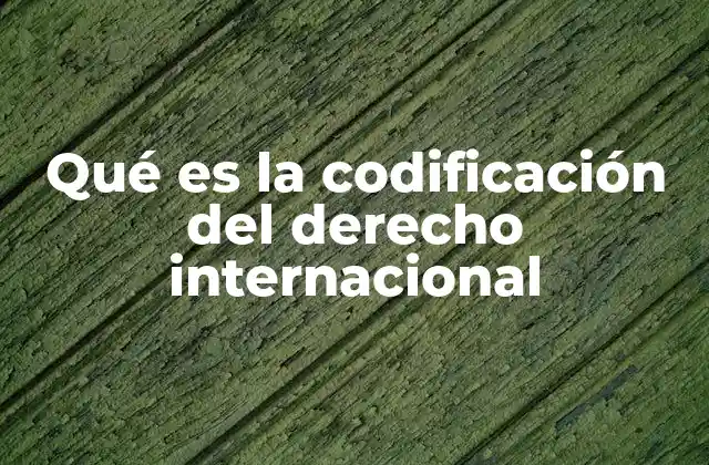 Qué es la Codificación Del Derecho Internacional