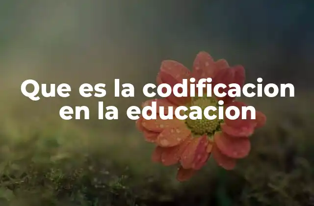 Que es la Codificacion en la Educacion