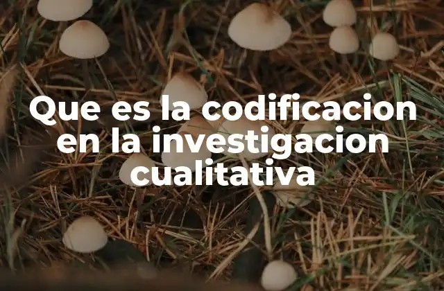 Que es la Codificacion en la Investigacion Cualitativa