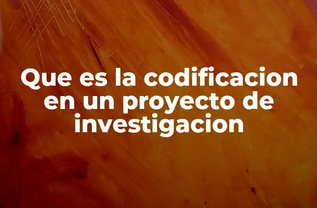 Que es la Codificacion en un Proyecto de Investigacion