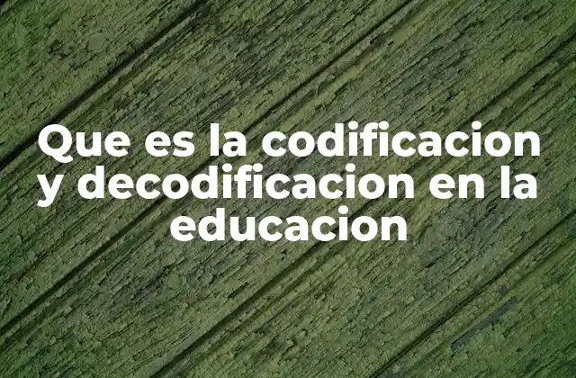Que es la Codificacion y Decodificacion en la Educacion