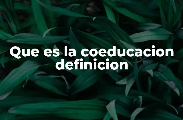 Que es la Coeducacion Definicion
