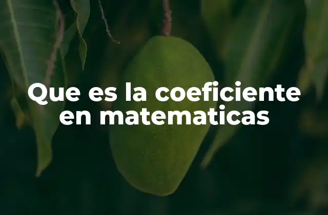 Que es la Coeficiente en Matematicas